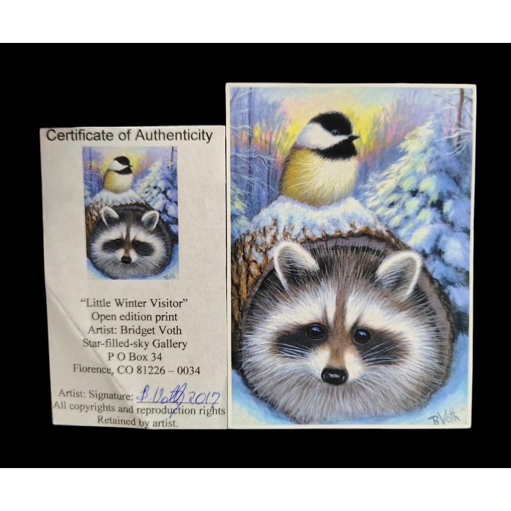 ACEO Bridget Voth Print Card Raccoon "little winter visit " Signed W/certificate